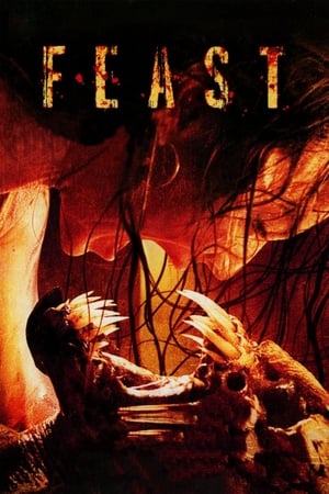 Feast 2005 Hindi Dual Audio 300MB
