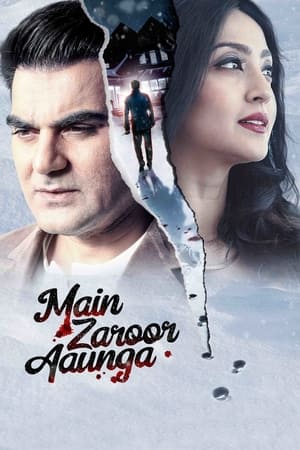 Main Zaroor Aaunga 2019 Hindi Movie [670MB]