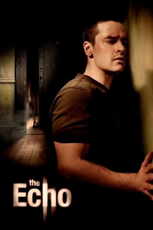 The Echo (2008) Hindi Dual Audio 300MB