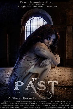 The Past 2018 Hindi Movie - [350MB]